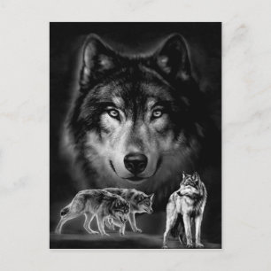Postal lobo