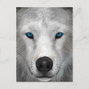 Postal Lobo Ártico
