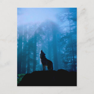 Postal Lobo aullador en la naturaleza