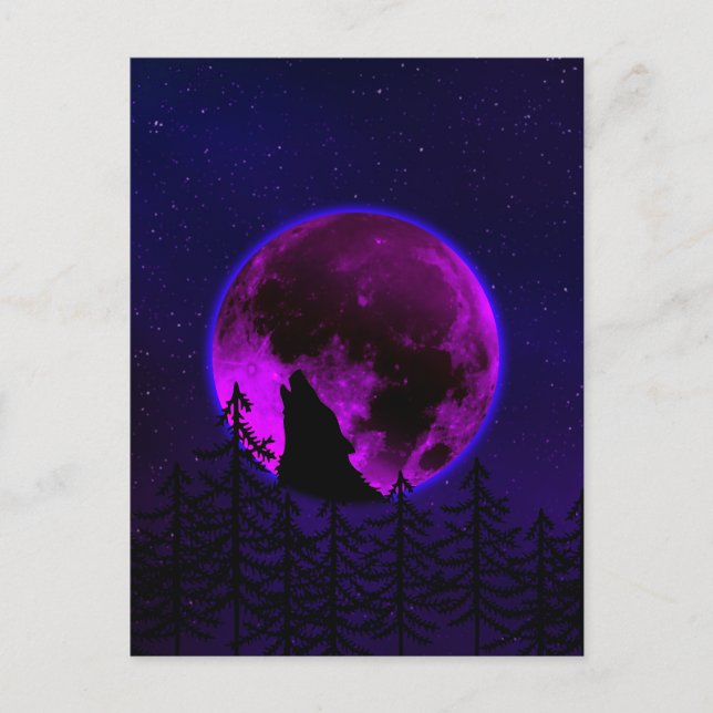 POSTAL LOBO AULLANDO LUNA MAGENTA   (Anverso)