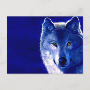 Postal Lobo azul