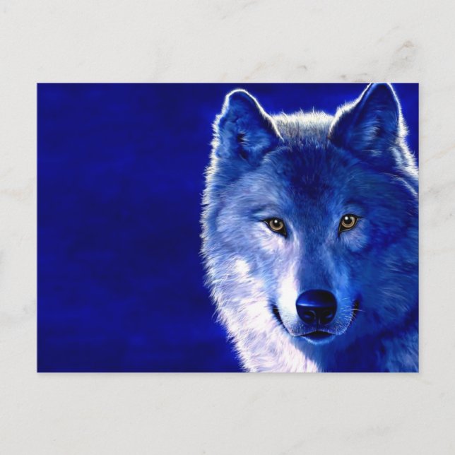 Postal Lobo azul (Anverso)
