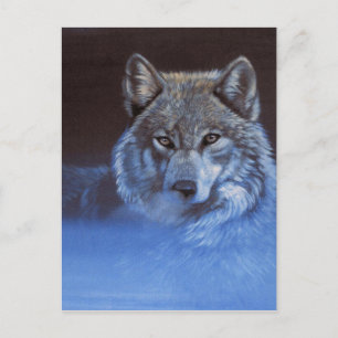 Postal Lobo azul