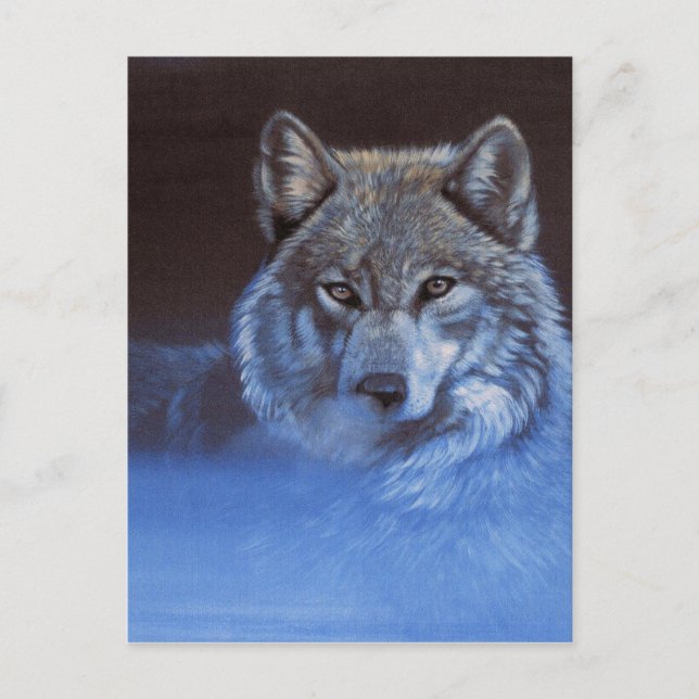 Postal Lobo azul (Anverso)