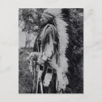 Lobo blanco, jefe comanche, c.1891-98
