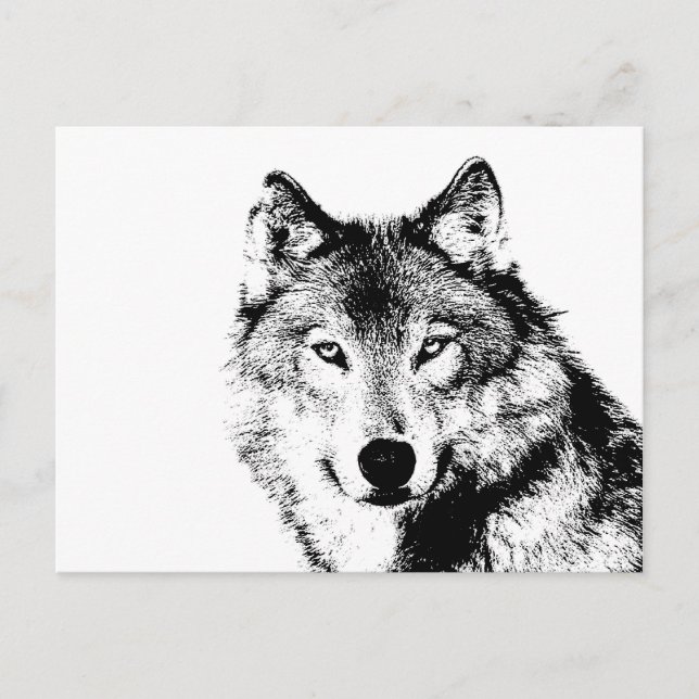 Postal Lobo blanco y negro (Anverso)