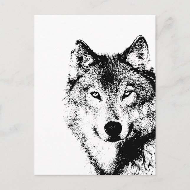 Postal Lobo blanco y negro (Anverso)