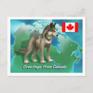 Postal Lobo canadiense