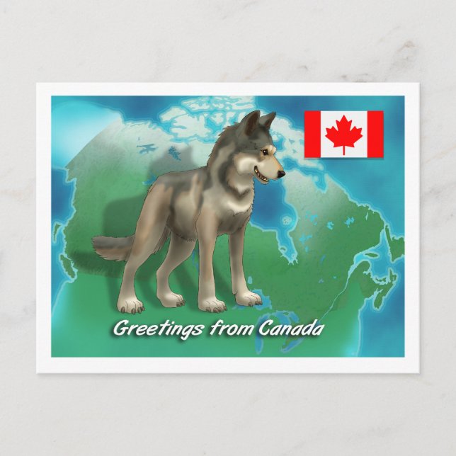 Postal Lobo canadiense (Anverso)
