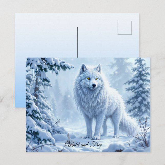 Postal Lobo de nieve salvaje depredador naturaleza arte d (Anverso / Reverso)