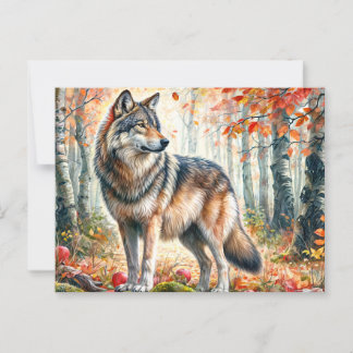 Postal Lobo De Otoño Con Manzanas En Bosque Caído