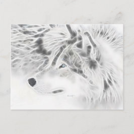 Postal Lobo de plata hermoso