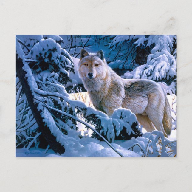Postal Lobo en la pintura del bosque de invierno (Anverso)