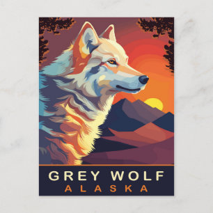 Postal Lobo Gris, Alaska, Atardecer en las Montañas, Viaj
