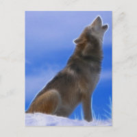 Lobo gris amenazado y solitario