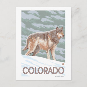 Postal Lobo Gris de pieColorado