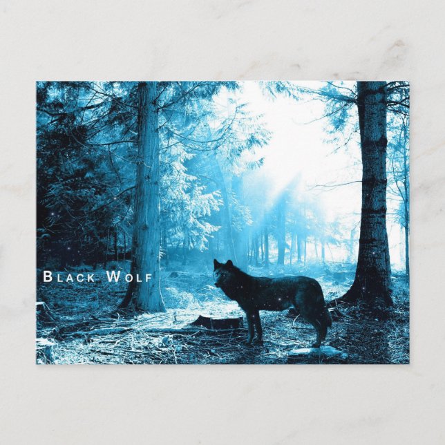 Postal Lobo negro (Anverso)