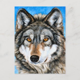 Postal Lobo pintado