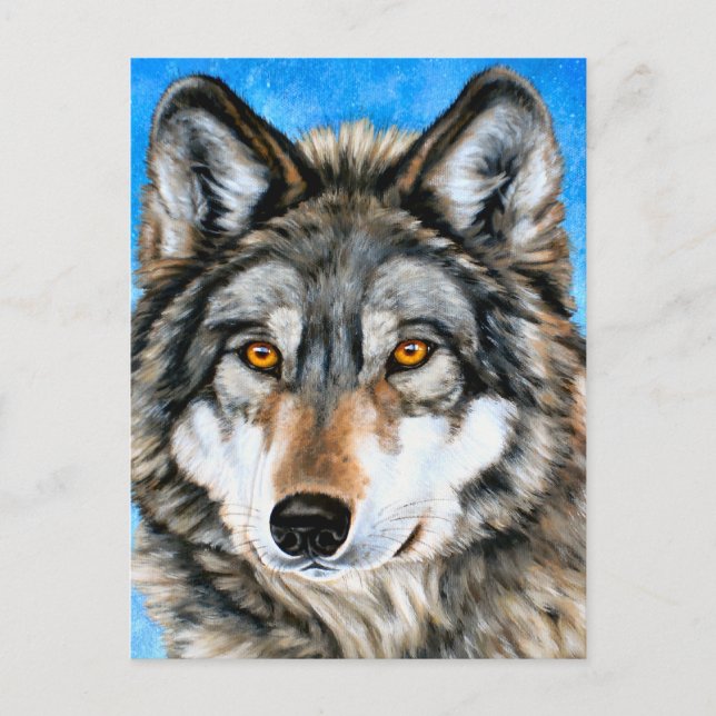 Postal Lobo pintado (Anverso)