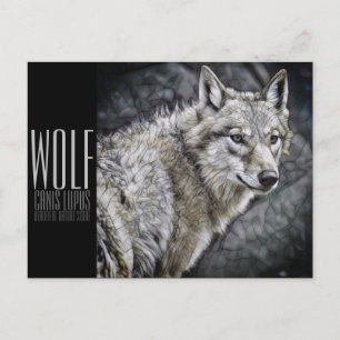 Postal Lobo [Postal]