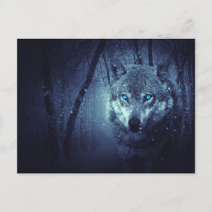 Postal Lobo Salvaje con Ojos Azules Hermosos
