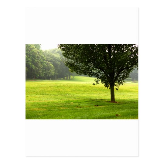Postal Lobo solitario