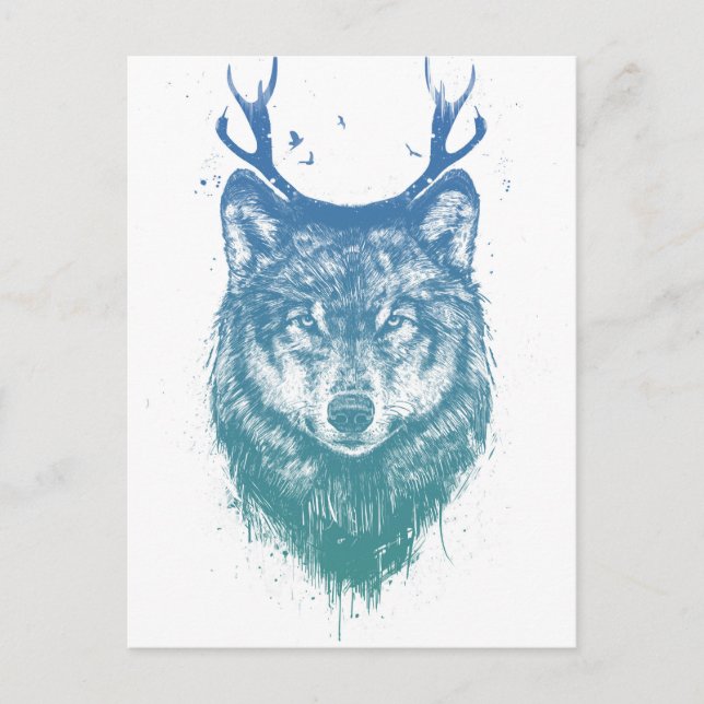 Postal Lobo venado (Anverso)