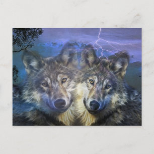 Postal Lobos en la noche
