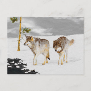 Postal Lobos en pintura de nieve - Arte de vida salvaje o