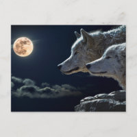Lobos llorando en plena luna de noche