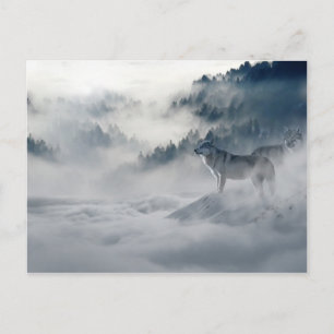 Postal Lobos majestuosos en la niebla forestal