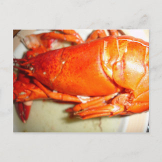 Postal Lobster