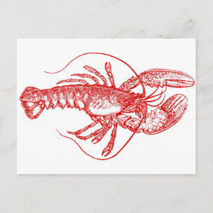 Postal Lobster