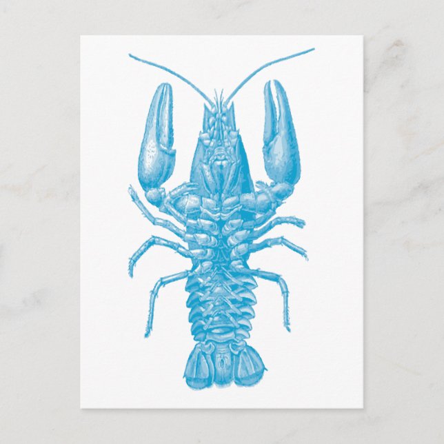Postal Lobster azul (Anverso)