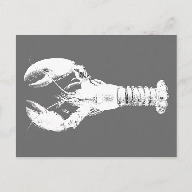Postal Lobster blanco sobre gris / gris (Anverso)