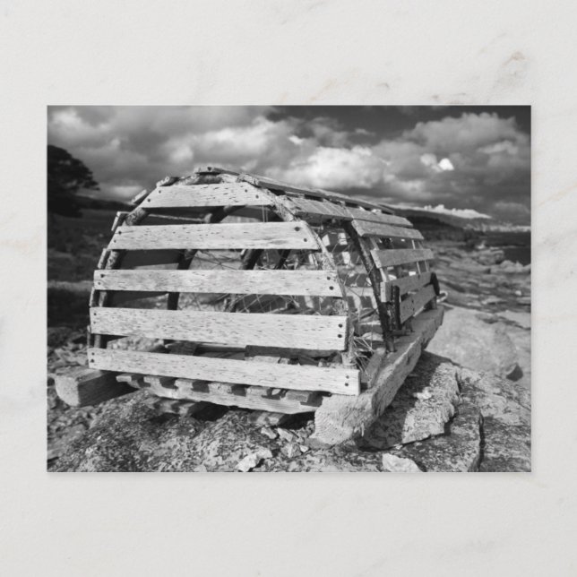 Postal Lobster Pot (Anverso)