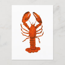 Lobster Rojo