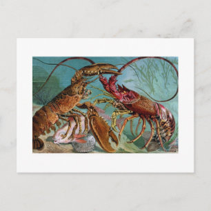 Postal Lobster y Langoustine