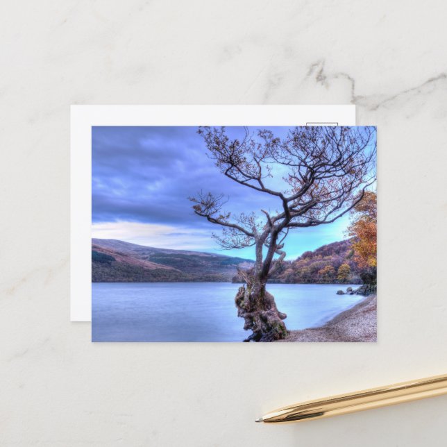 Postal Loch Lomond, Escocia Postcard (Anverso/Reverso In Situ)