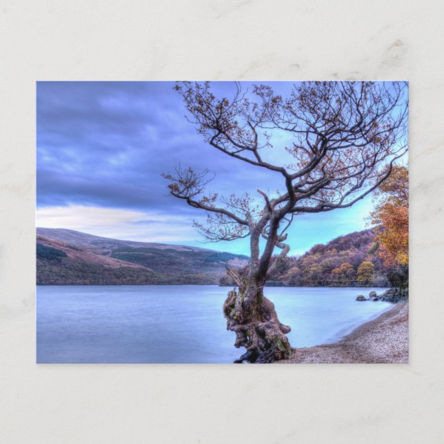 Postal Loch Lomond, Escocia Postcard (Anverso)