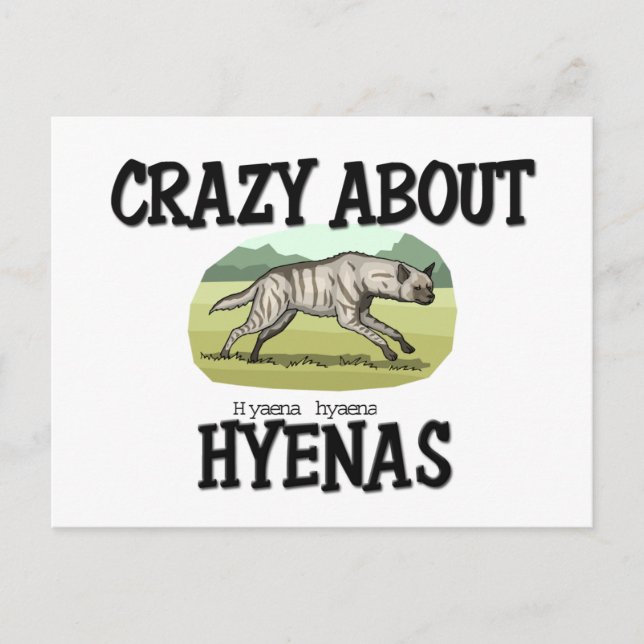 Postal Loco acerca de Hyenas (Anverso)