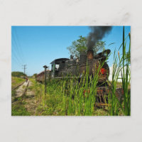 Locomotora de vapor en hierba alta