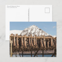Lofoten Noruega Stockfish