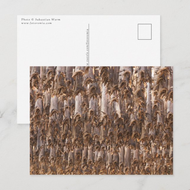 Postal Lofoten Stockfish (Anverso / Reverso)