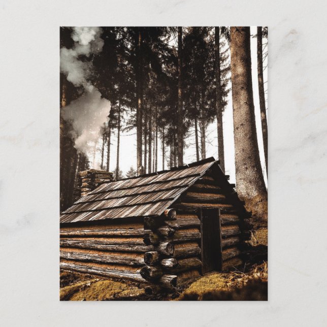 POSTAL LOG CABIN HOUSE EN FOREST POSTCARDS (Anverso)