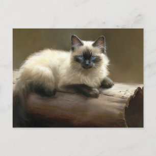 Postal Log Lounger Siamese Kitten