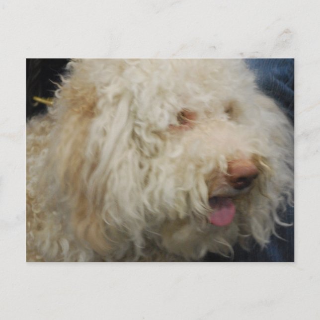 Postal Logato Romagnolo (Anverso)