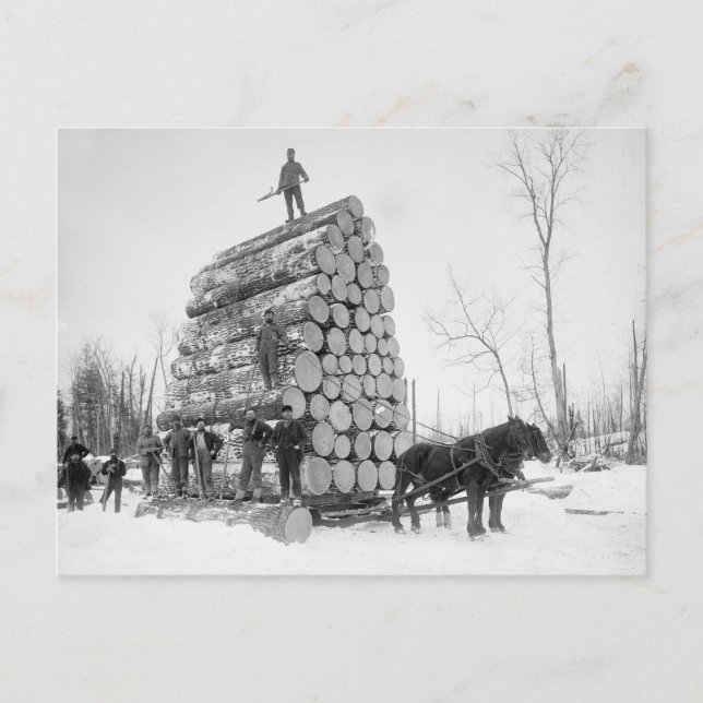 Postal Loggers At Work, 1890 (Anverso)