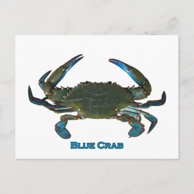 Postal Logo de Atlantic Blue Crab (Anverso)