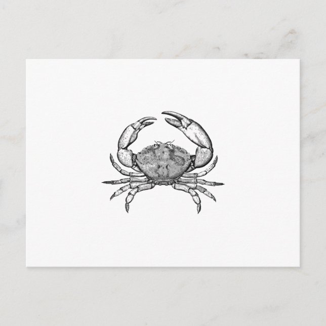 Postal Logo de Crab de Piedra (arte de la línea) (Anverso)